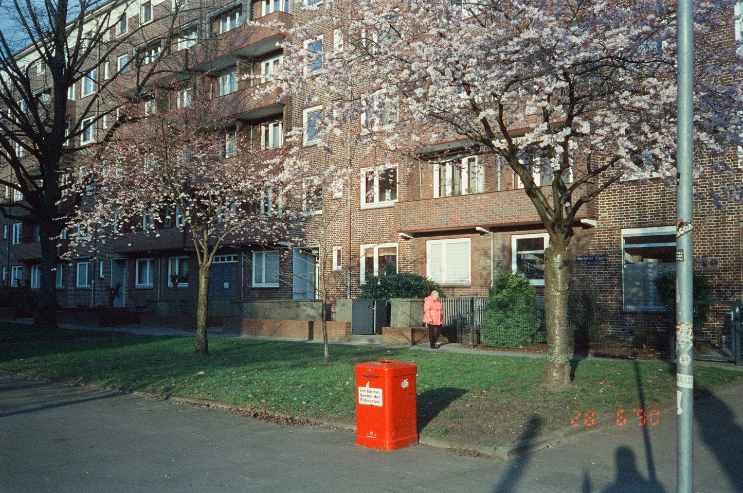 Goodie Single Use Camera - UK Edition