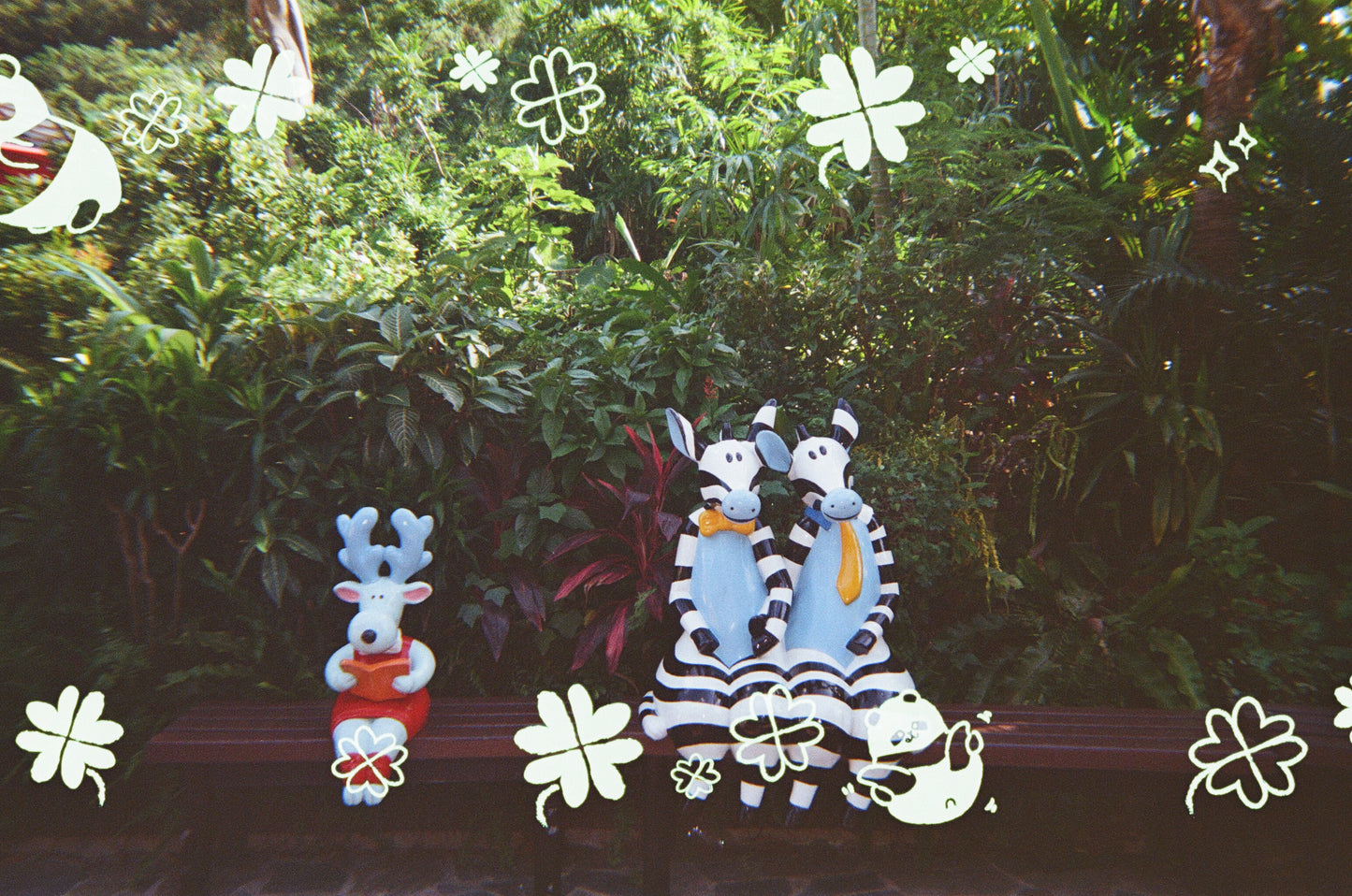 Goodie Reloadable film camera - Panda Friends Edition