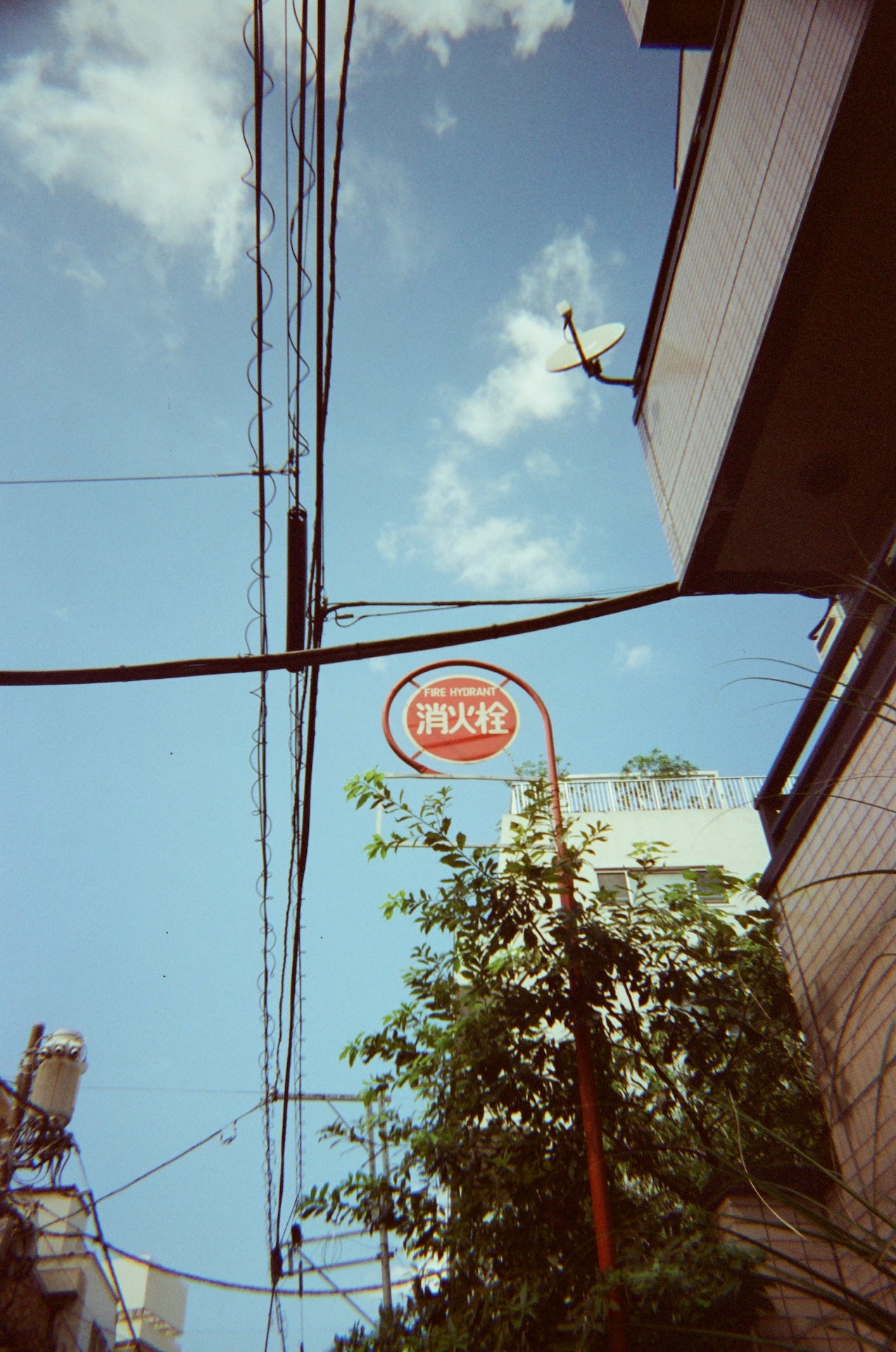 Goodie Single Use Camera - Japan
