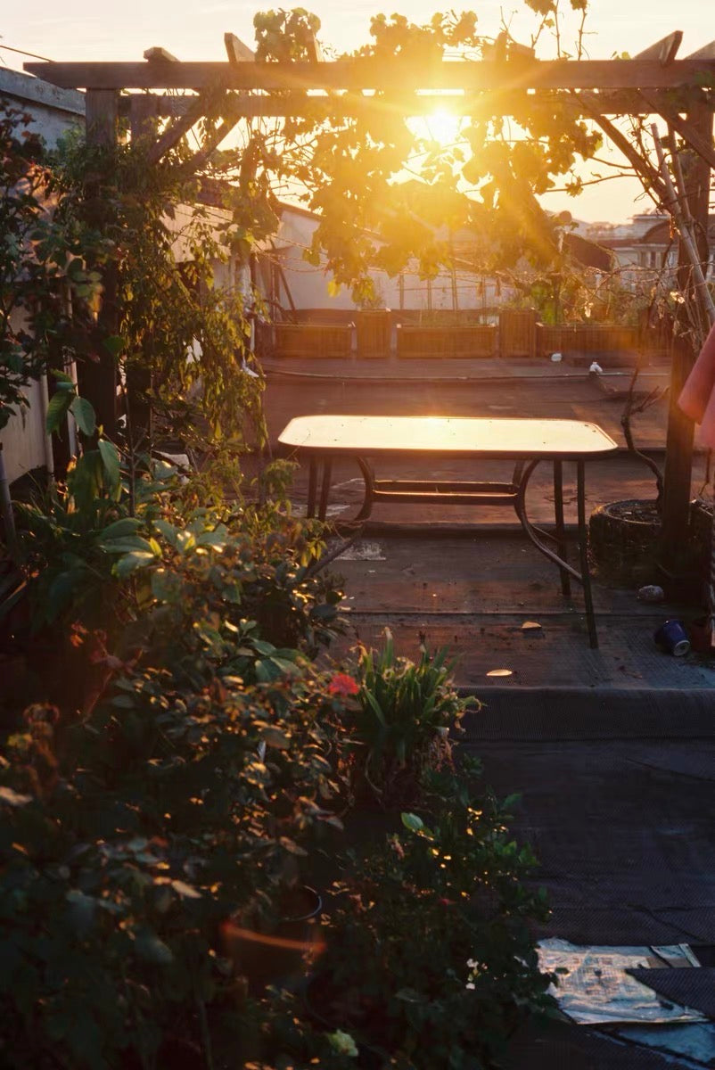 Goodie 250 COLOR CINE FILM 135-24exp.