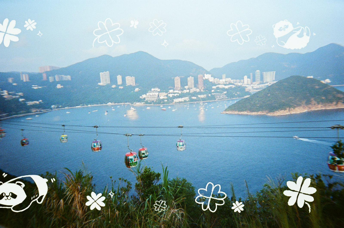 Goodie Reloadable film camera - Panda Friends Edition