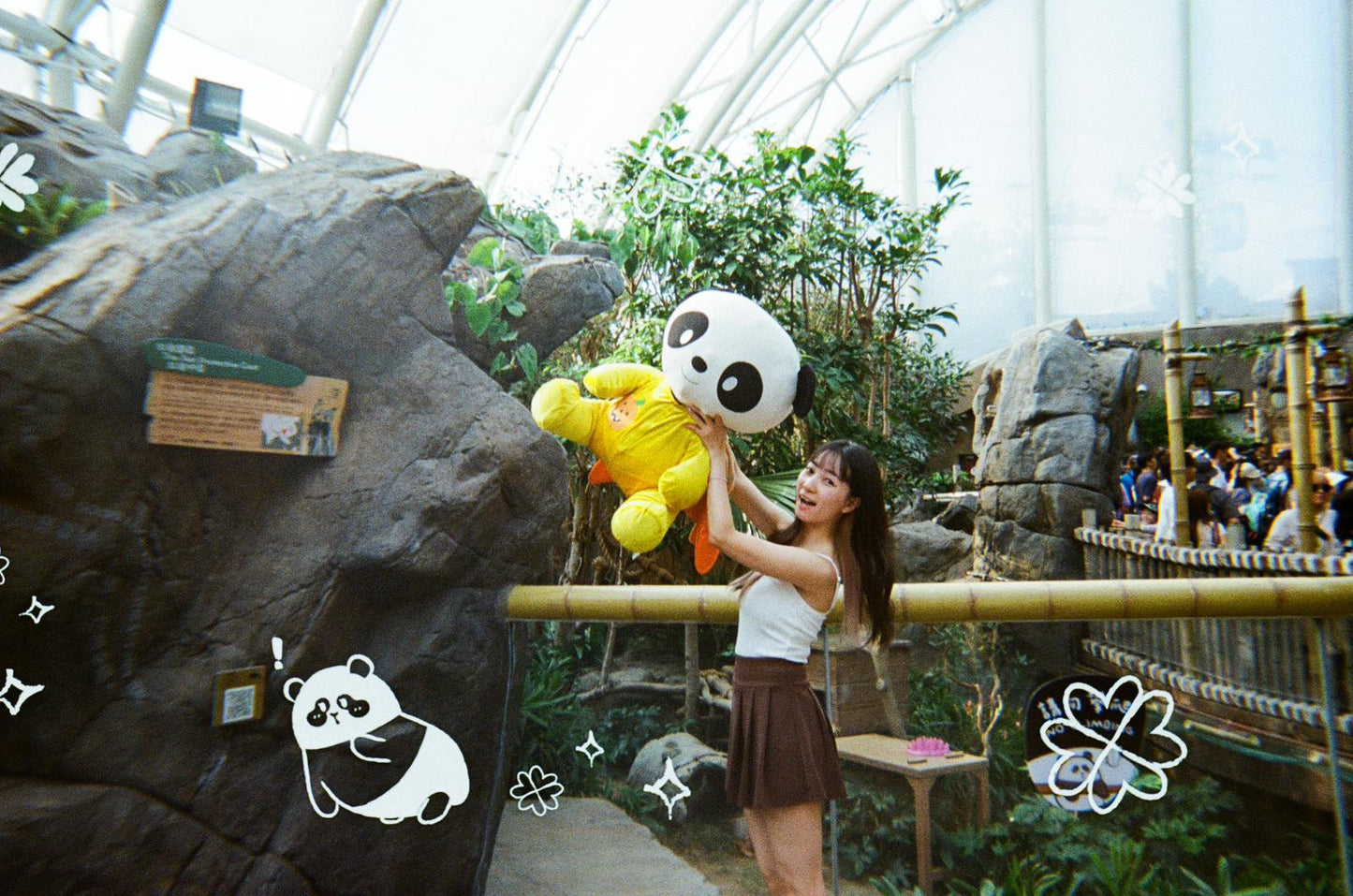 Goodie Reloadable film camera - Panda Friends Edition
