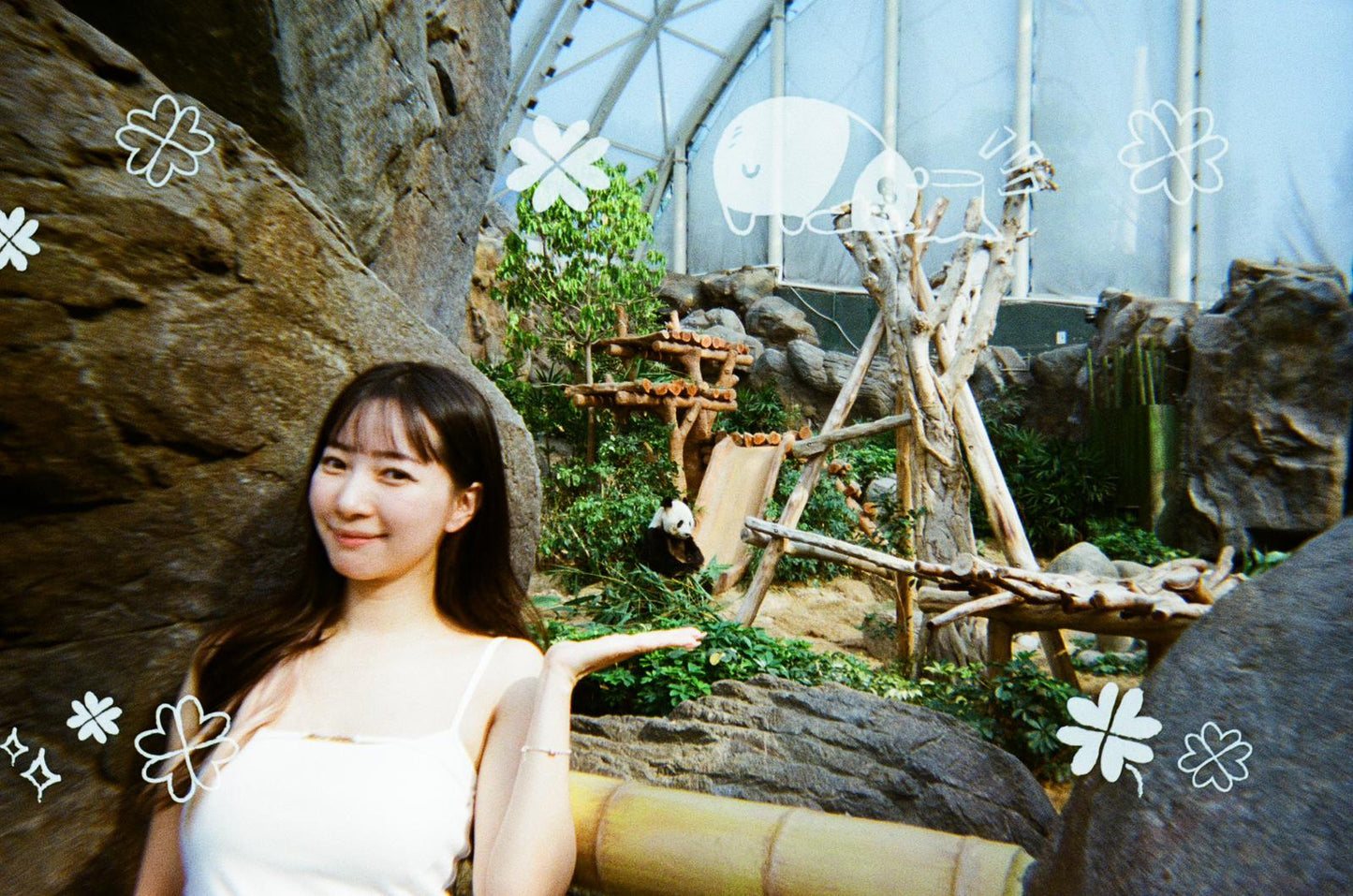 Goodie Reloadable film camera - Panda Friends Edition