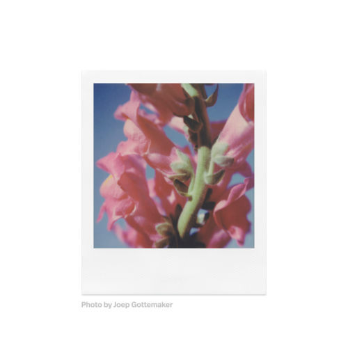 Color SX-70 Film